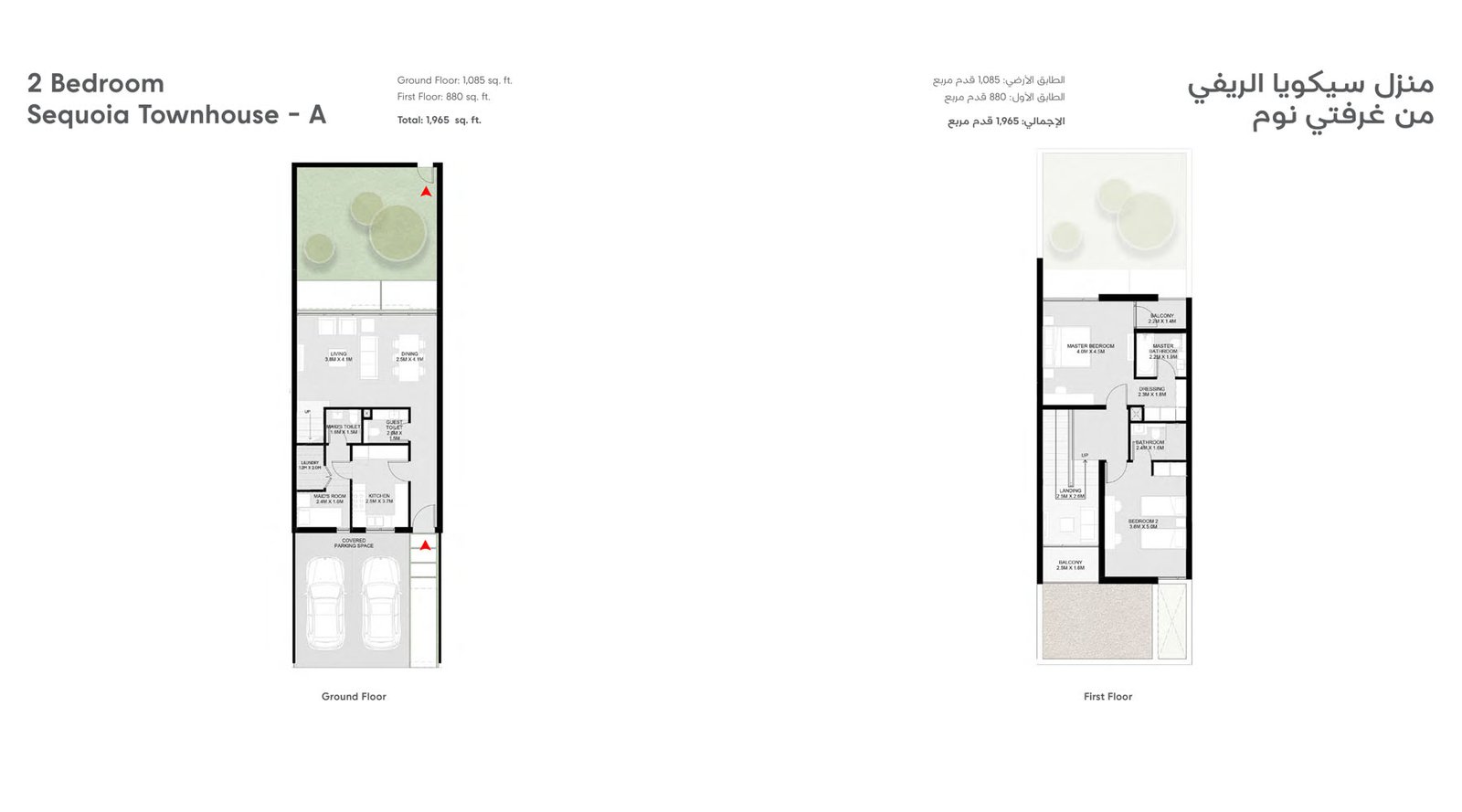 1 Bedroom